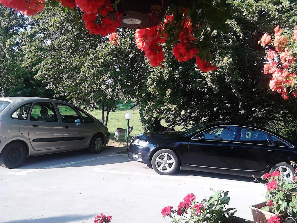 Apartman & Sobe Orhideja Smoljanac Rom bilde